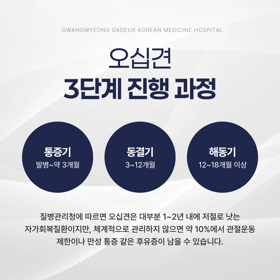 오십견 통증기 동결기 해동기 3단계 진행 타임라인