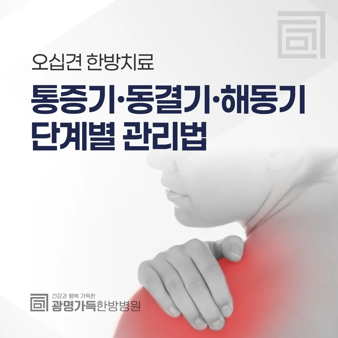 오십견(유착성 관절낭염) 한방치료, 통증기·동결기·해동기 단계별 관리법