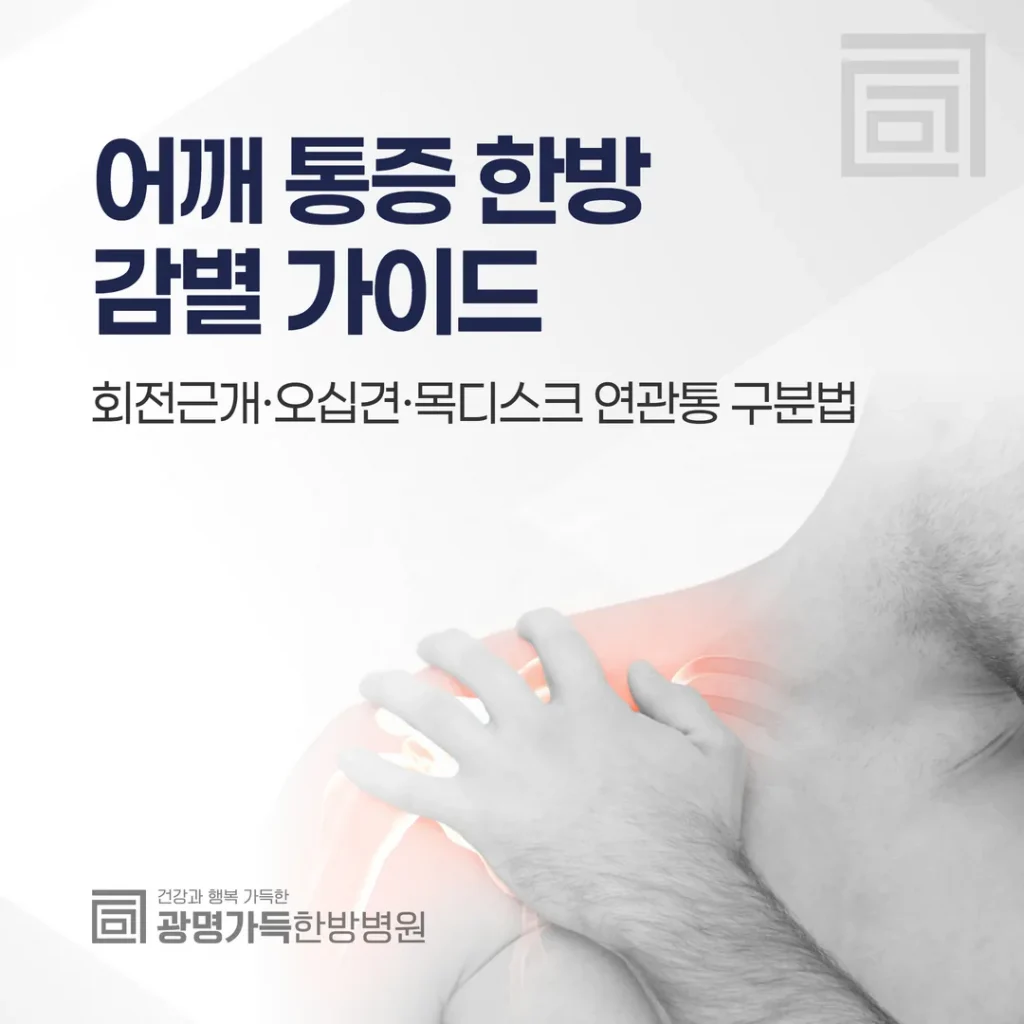 어깨 통증 한방 감별 가이드 — 회전근개·오십견·목디스크 연관통 구분법