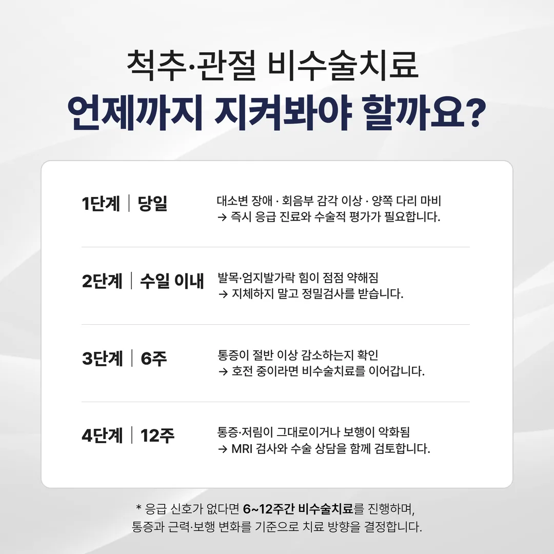 척추관절 비수술치료 기간별 결정 가이드 - 응급 신호부터 12주 평가까지