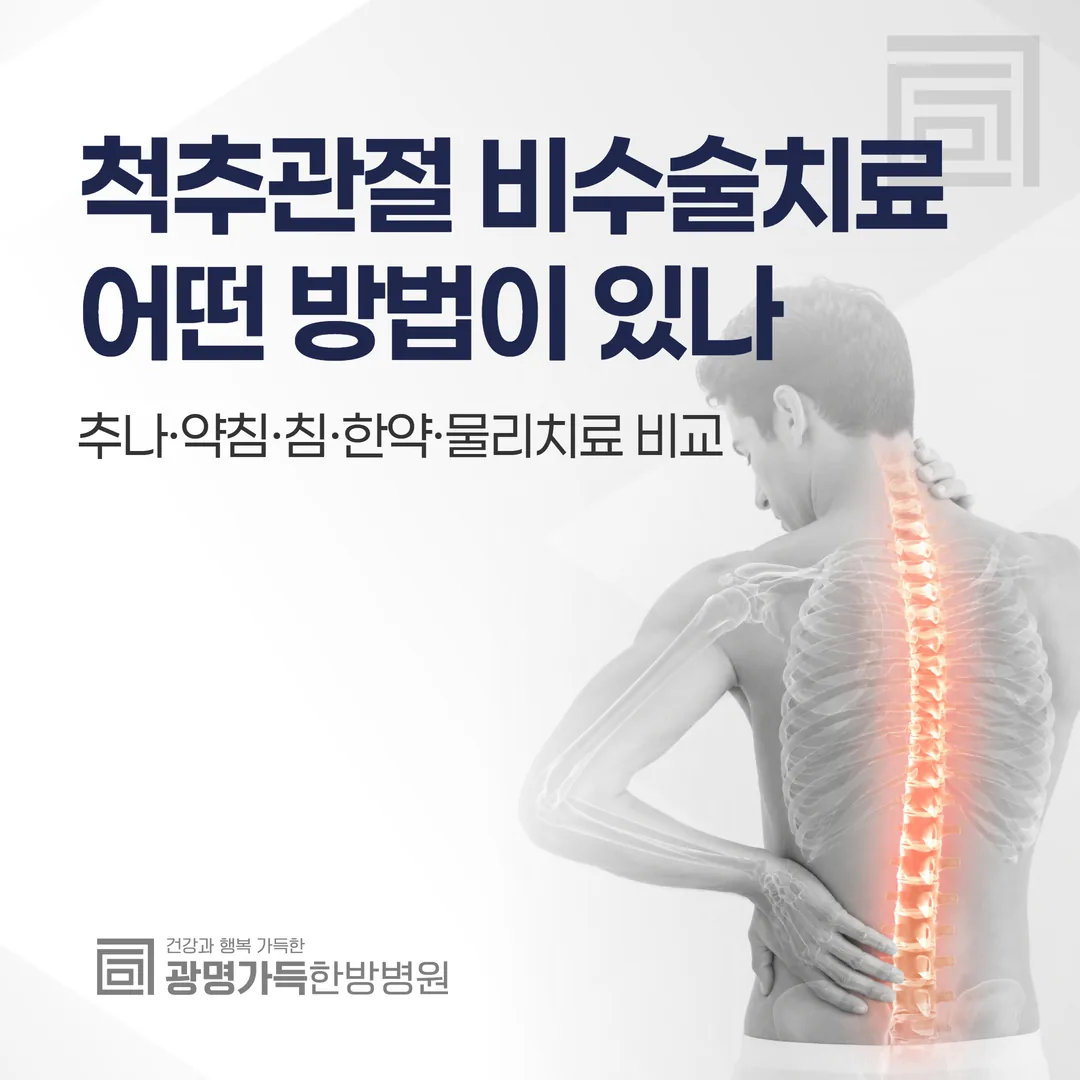 척추관절 비수술치료, 어떤 방법이 있나 — 추나·약침·침·한약·물리치료 비교