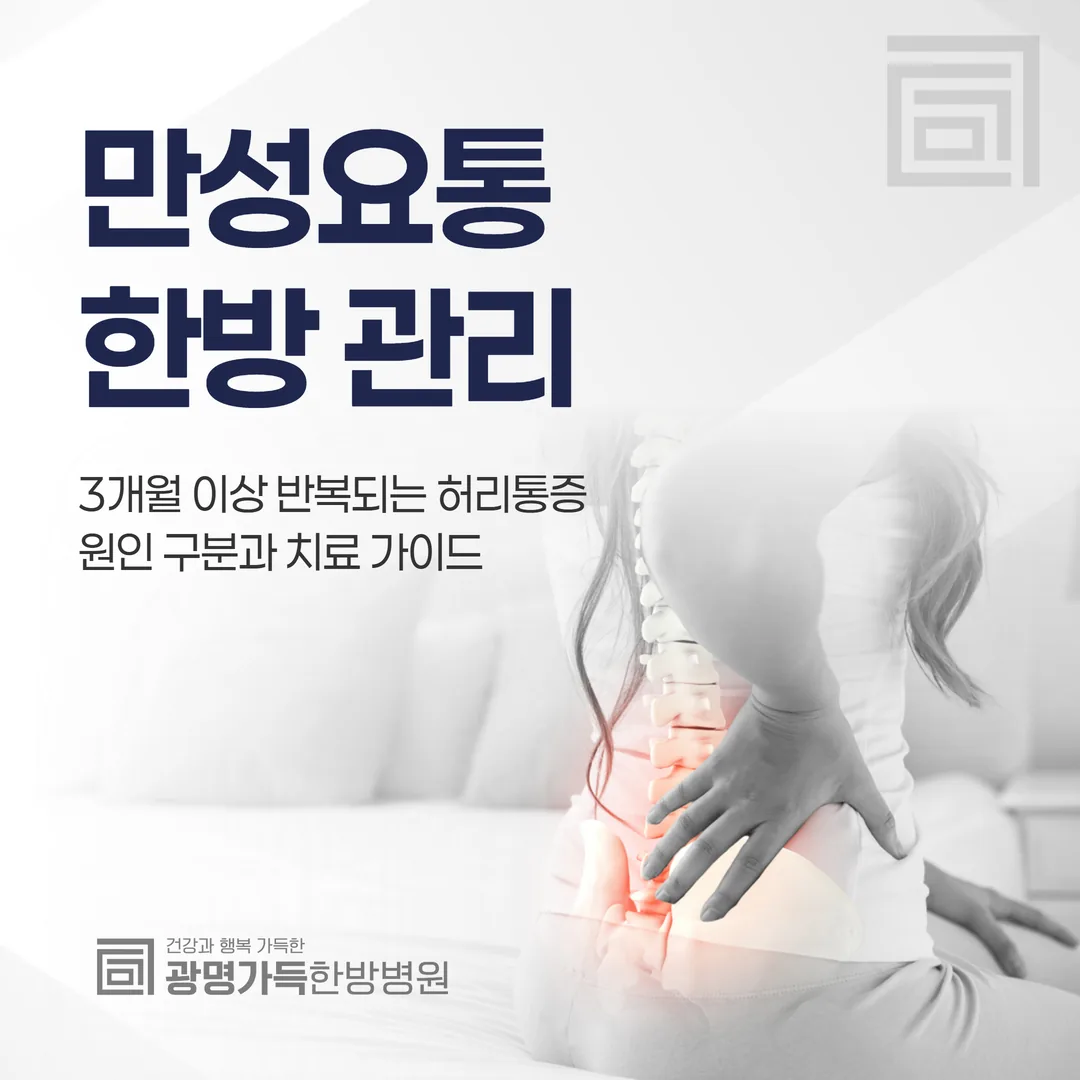 만성요통 한방 관리 — 3개월 이상 반복되는 허리통증, 원인 구분과 치료 가이드