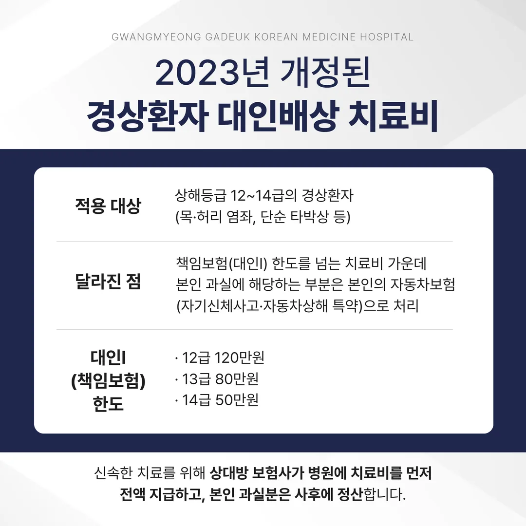 자동차보험 경상환자 치료비 과실책임주의 도표