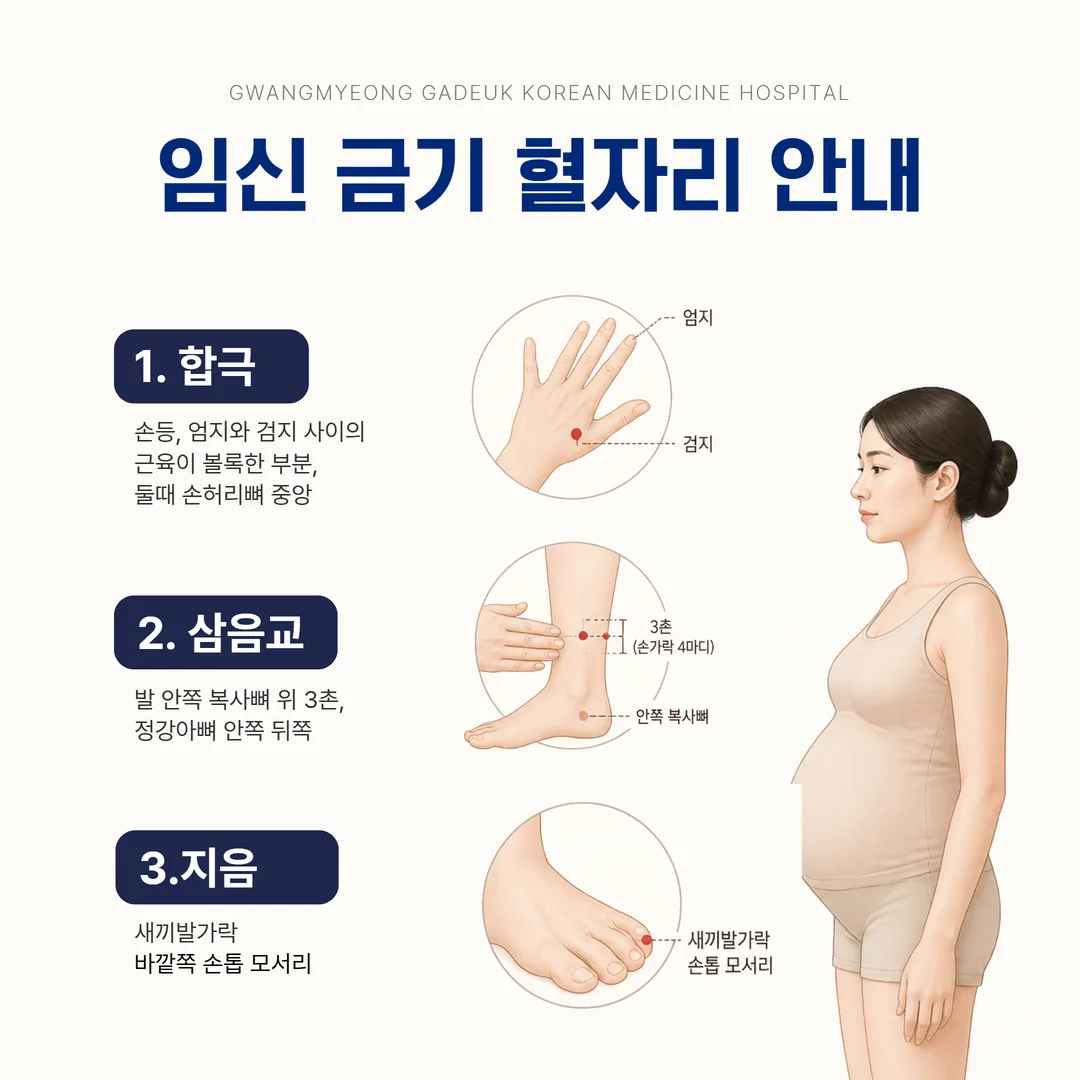 임신 금기 혈자리 안내 도해