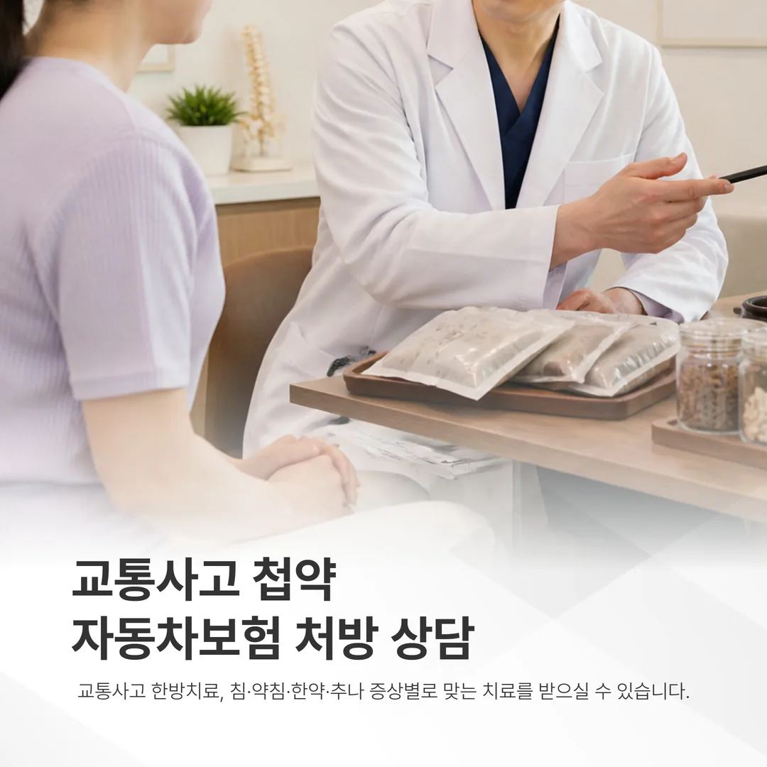 교통사고 첩약 자동차보험 처방 상담 장면