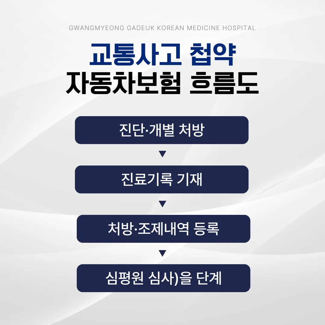 자동차보험 첩약 처방 절차 인포그래픽