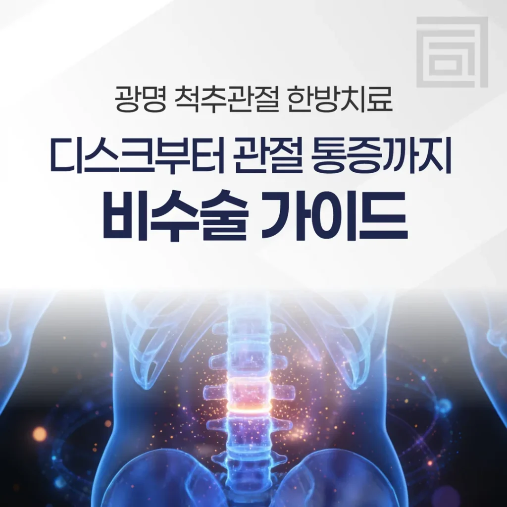 광명 척추관절 한방치료, 디스크부터 관절 통증까지 비수술 가이드