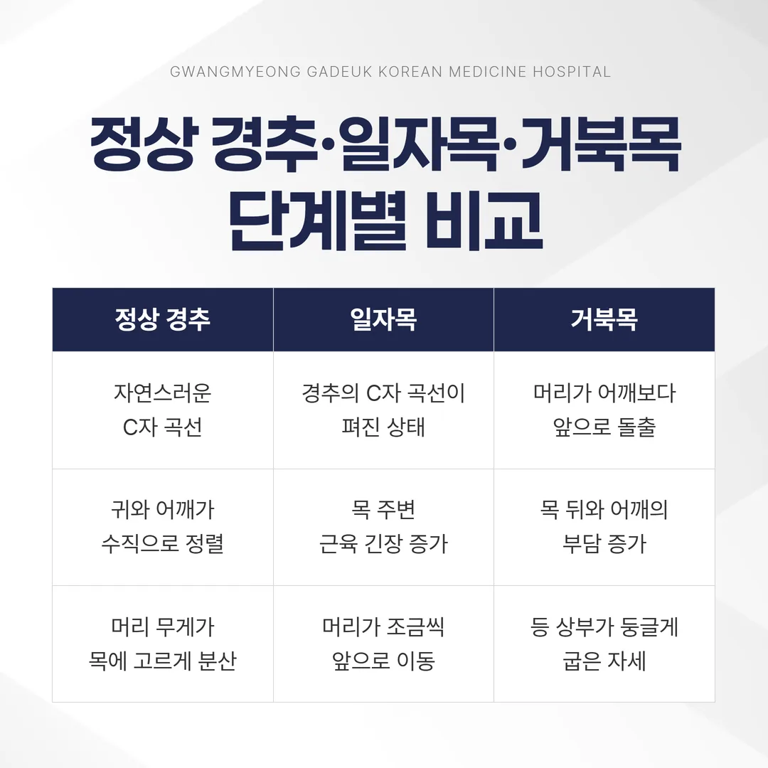 정상 경추 C자 곡선과 일자목 거북목 곡선 비교