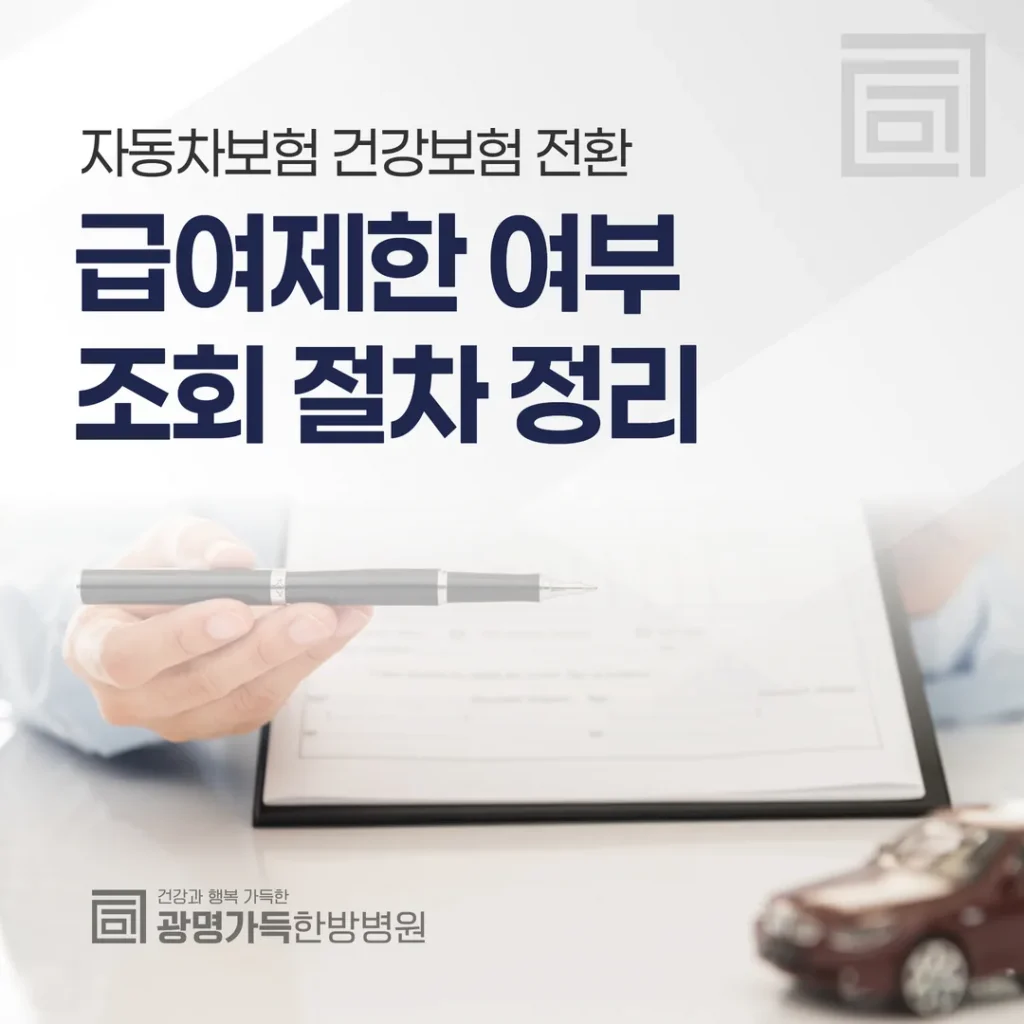 자동차보험 건강보험 전환 — 급여제한 여부 조회 절차 정리