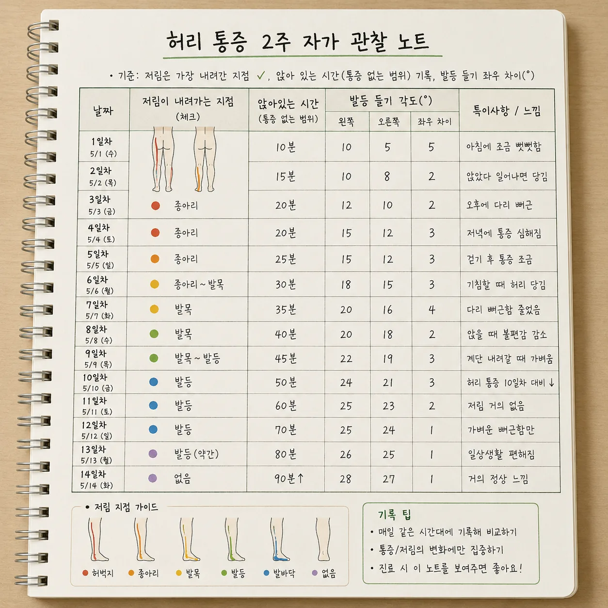 허리 통증 2주 자가 관찰 기록 예시