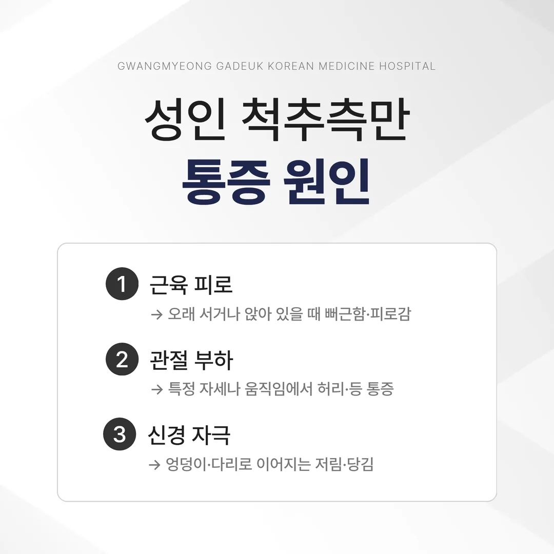 성인 척추측만 통증을 근육 피로 관절 부하 신경 자극으로 구분한 도해