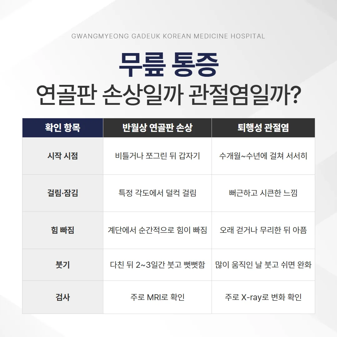 연골판 손상과 퇴행성 관절염의 증상 차이 비교 인포그래픽