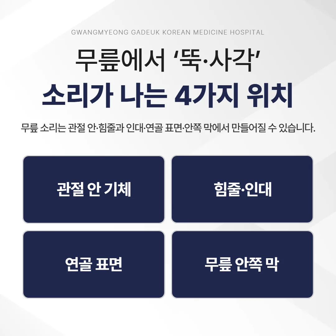 무릎에서 소리가 발생하는 네 가지 위치를 표시한 관절 단면 도해