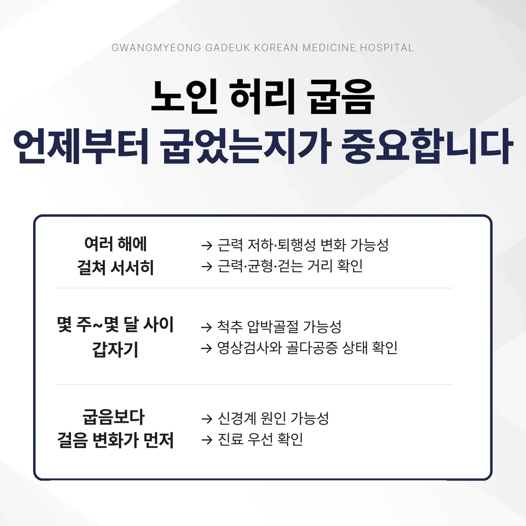 굽음이 시작된 시기와 속도에 따라 먼저 확인할 원인을 나눈 표