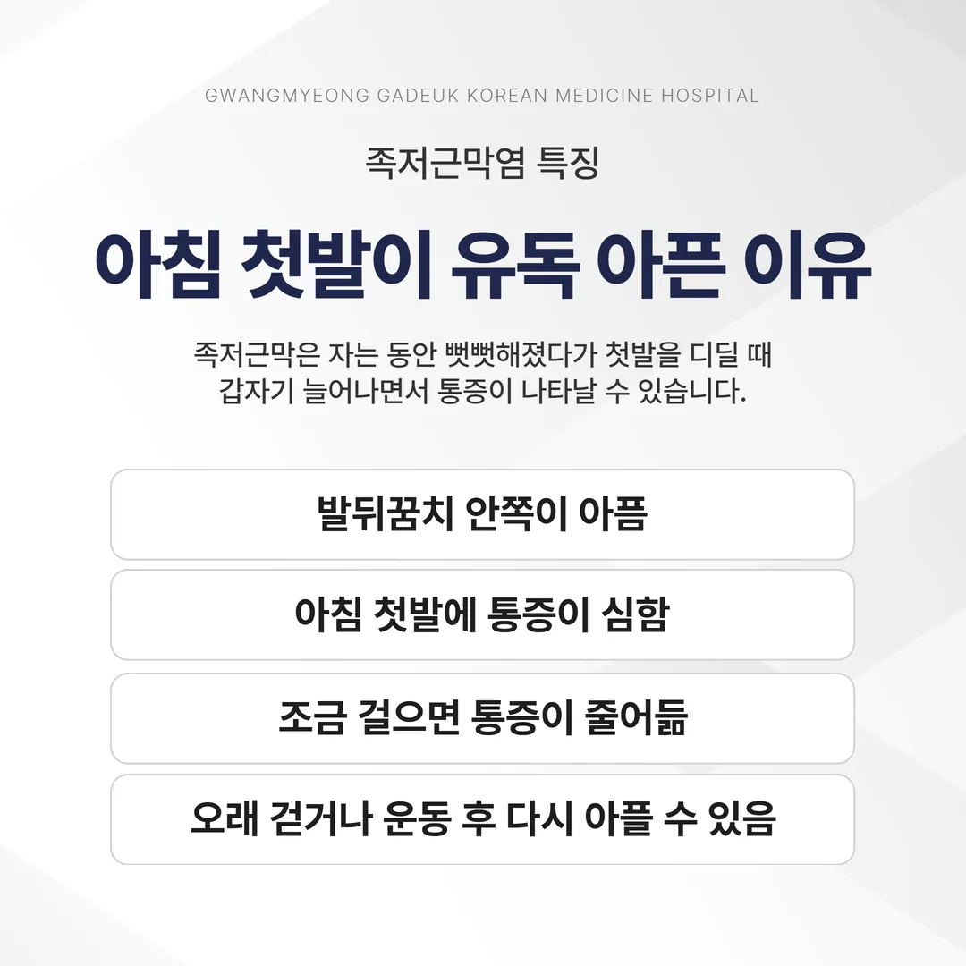 족저근막의 주행과 발뒤꿈치 안쪽 압통 부위를 표시한 개념도