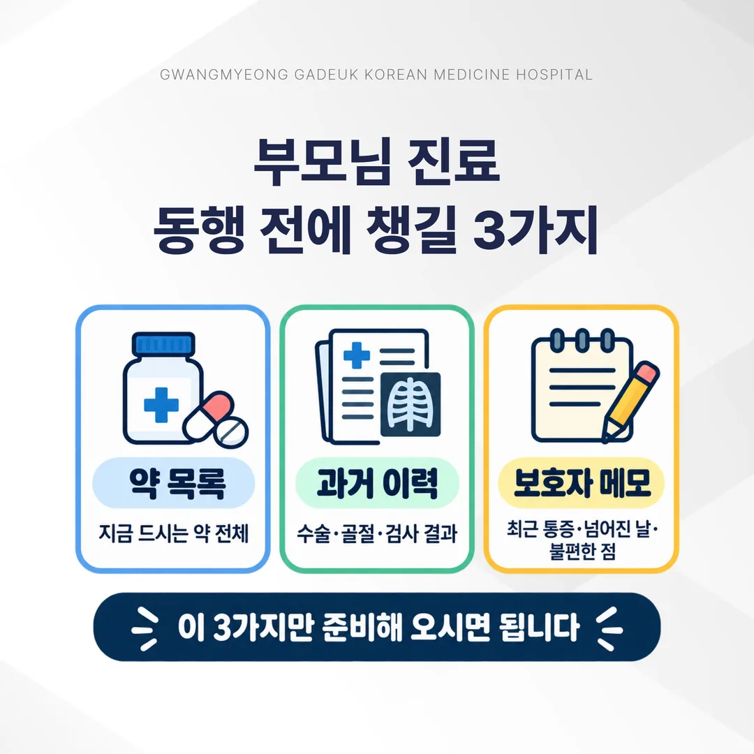 부모님 진료 동행 준비물 세 묶음 정리도