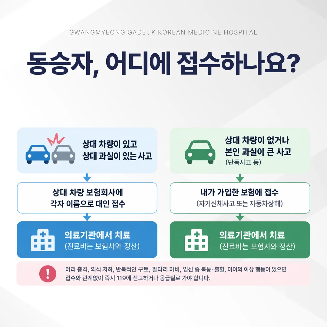 교통사고 동승자 접수 경로 흐름도