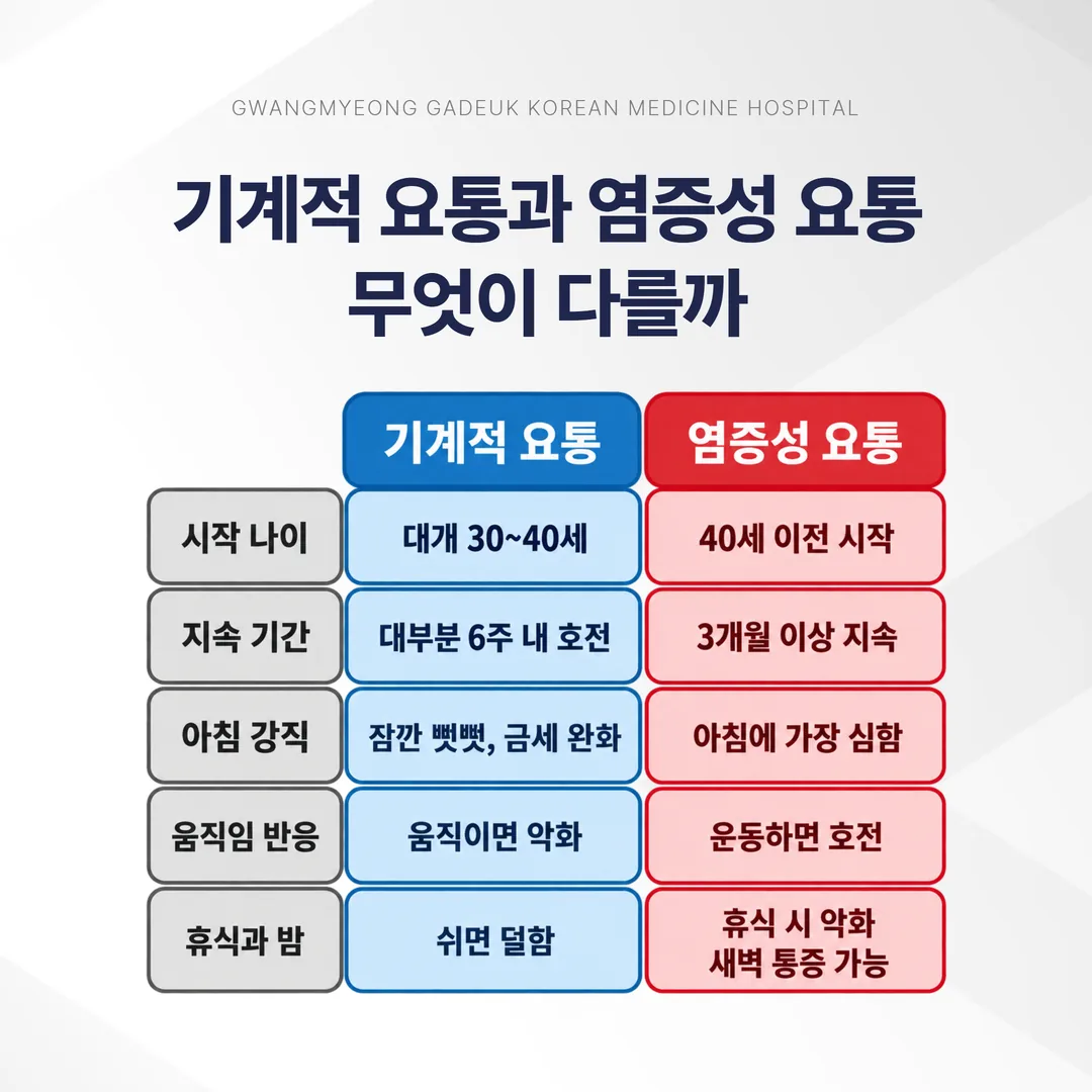 기계적 요통과 염증성 요통을 다섯 축으로 대조한 도표