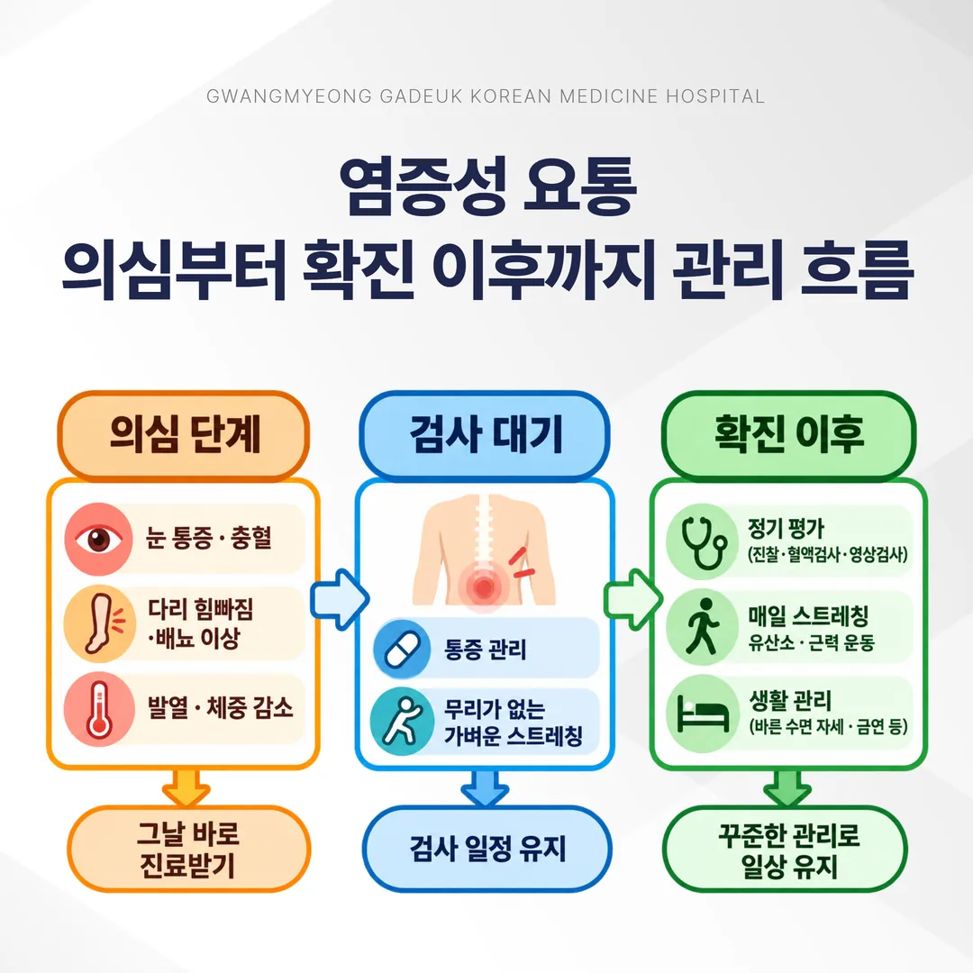 염증성 요통 의심부터 확진 이후까지 이어지는 관리 축 관계도