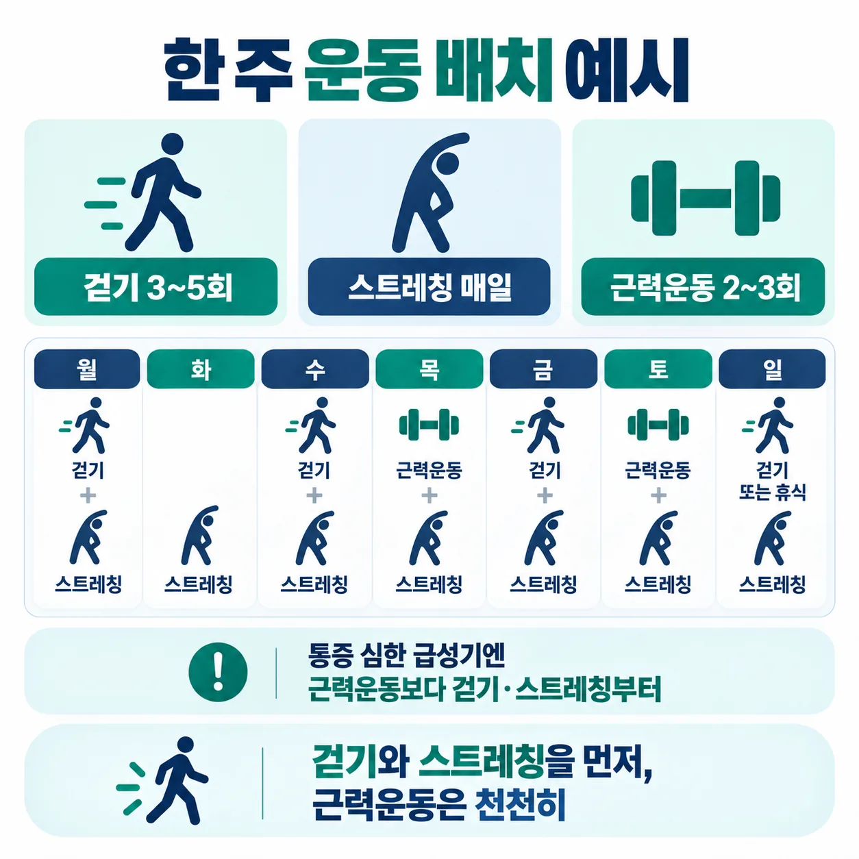 걷기와 스트레칭, 근력운동을 한 주에 나누어 배치한 계획 도표